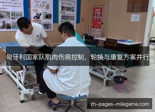匈牙利国家队肌肉伤病控制，轮换与康复方案并行